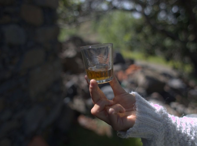 La Denominación de Origen 🍷 "Vinos La Palma" y el IPNA-CSIC presentan el inventario de vinos de tea  🍇